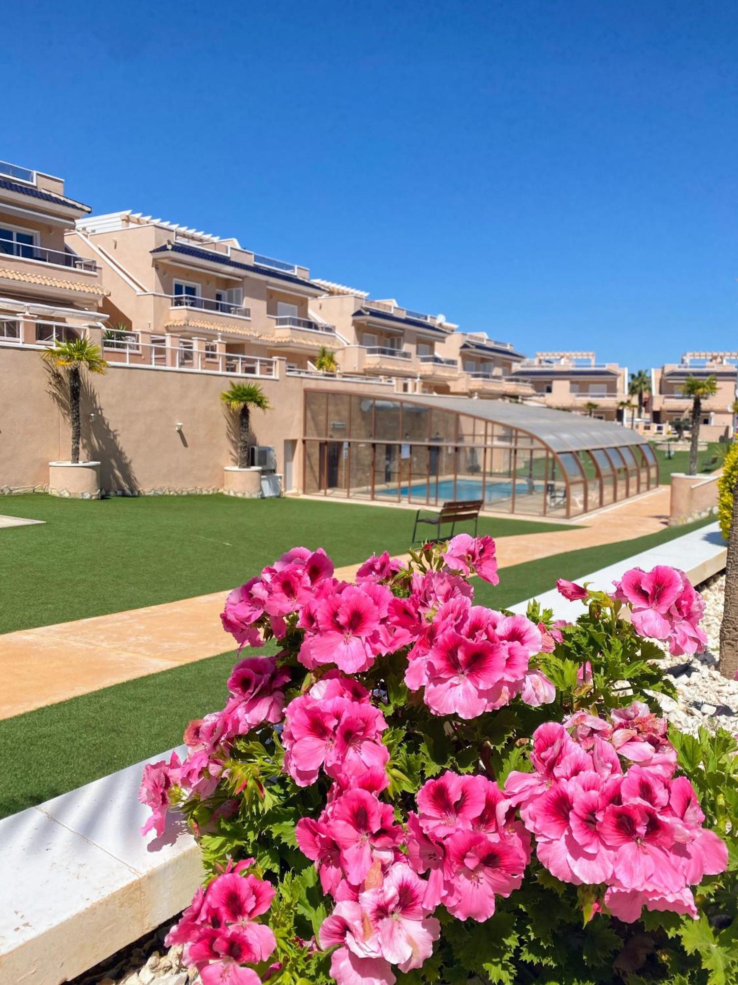 Apartments Punta Prima Indoor & Outdoor Pool Torrevieja Ngoại thất bức ảnh